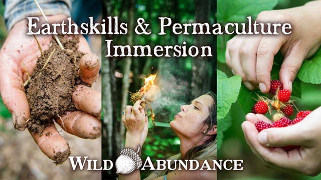 Earthskills & Permaculture Immersion