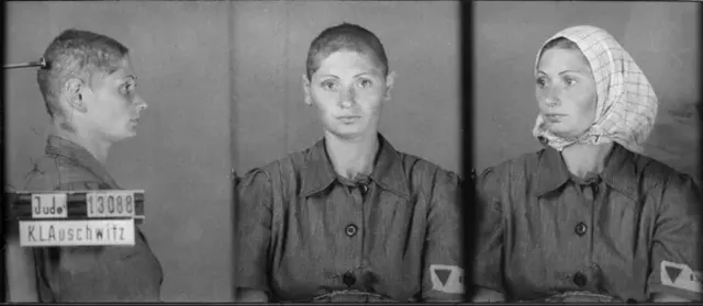female holocaust experiences essay My museum expectations were, to see videos, photos, and artifacts of the holocaust get to experience how it changed lives of men women and children the expectations that i had were not different from my actual experience everything that i was expecting, i witnessed from the photographs, to the videos, even the actual beds, shoes, hair. female holocaust experiences essay My museum expectations were, to see videos, photos, and artifacts of the holocaust get to experience how it changed lives of men women and children the expectations that i had were not different from my actual experience everything that i was expecting, i witnessed from the photographs, to the videos, even the actual beds, shoes, hair.