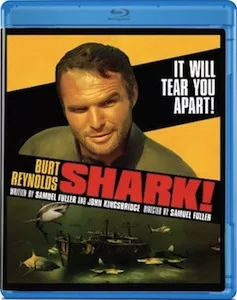 shark.jpg