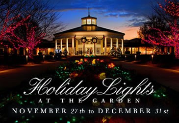 home_feature_holiday_lights_09