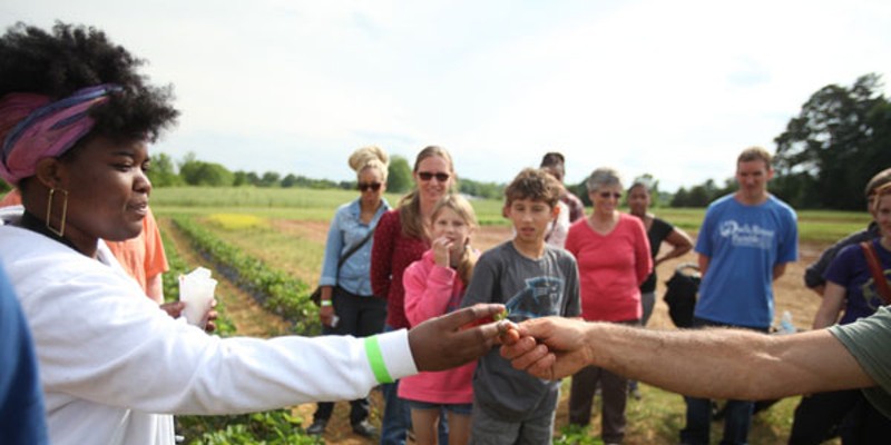 Know Your Farms' fall tour offers a peek behind the market booth