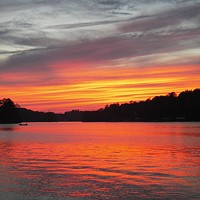 Lake Norman becomes North Carolina's third Community Wildlife Habitat