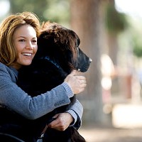 MAN'S BEST FRIENDS Diane Lane and her canine companion in Must Love Dogs.