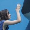 <i>Rust and Bone</i> not polished enough