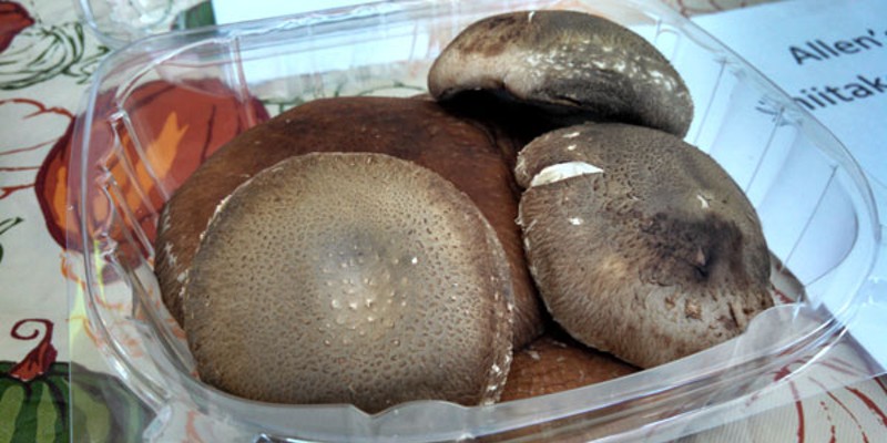 Mushrooms from Allen's Farm