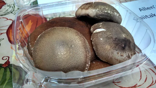 Mushrooms from Allens Farm