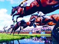 Queen's Cup Steeplechase Saturday in Mineral - Springs.