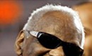 Ten Reasons Why Ray Charles Is A Genius