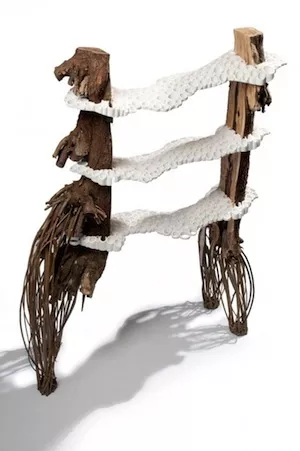 Floris-Wubben-Tree-Fungus-Shelf.jpg