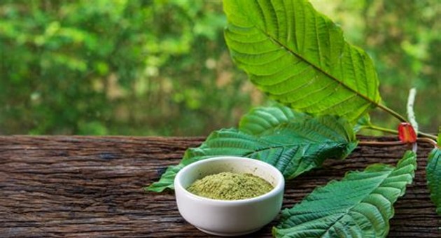 Kratom Unveiled: Examining the Effects, Risks, and Potential Benefits of this Herbal Substance