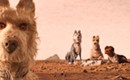 <i>I Feel Pretty, Isle of Dogs, Rampage</i> among new home entertainment titles
