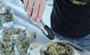 Marijuana Dispensary sales are up despite nearly 70% nationwide drop in retail foot-traffic
