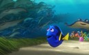 <i>Finding Dory</i> forgets consistency