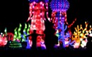 Chinese Lantern Festival kicks with multicolored art
