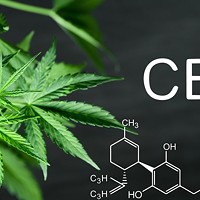 How CBD can help people with focus