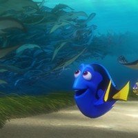 Finding Dory (Photo: Disney-Pixar)