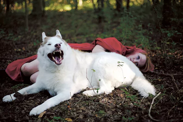 Lindsey Pressley's "Caution of the Big Bad Wolf"