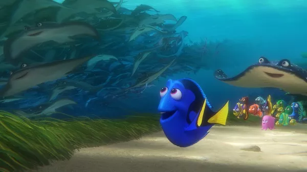 Finding Dory (Photo: Disney-Pixar)