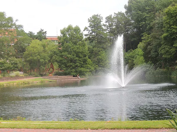 The UNC Charlotte Police & Public Safety department offers rape aggression defense classes to female students worried about walking alone on campus. - RYAN PITKIN