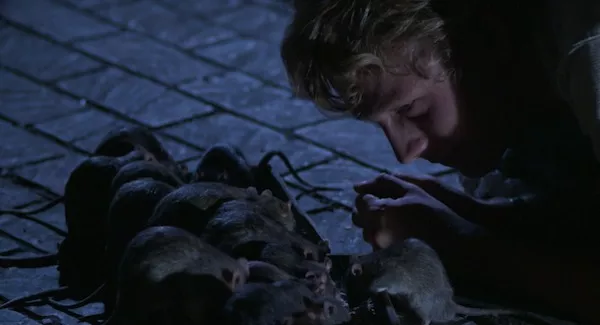 Bruce Davison in Willard (Photo: Shout! Factory)