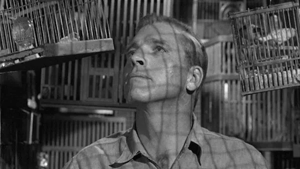 Burt Lancaster in Birdman of Alcatraz (Photo: Olive & MGM)