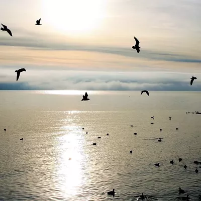 Finding Meaning and Purpose: Discovering Your Path to Meaningful Service