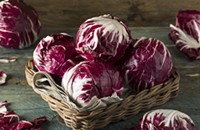No One Knows How to Cook Radicchio