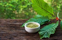 Kratom Unveiled: Examining the Effects, Risks, and Potential Benefits of this Herbal Substance