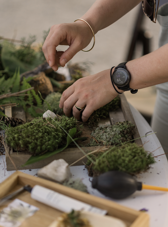 Foraged Art Workshop at North Corner Haven - Vimarsana News