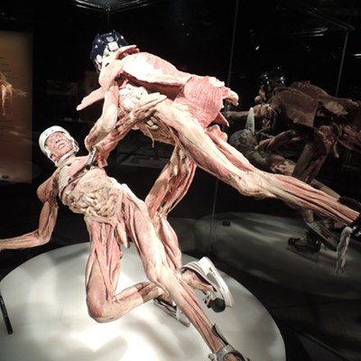 BODY WORLDS