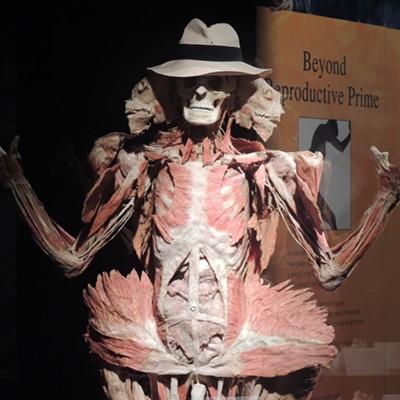 BODY WORLDS