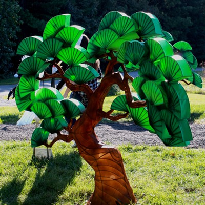 Charlotte's Chinese Lantern Festival kicks off to multicolored start