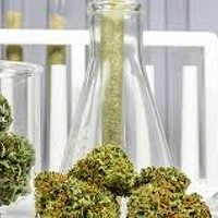 5 Sciences of how to best extract Cannabis and test it
