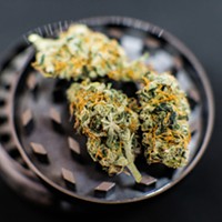 The Growing Popularity Of THCA Flower In Cannabis Culture