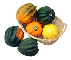 acorn squash in a basket - Uploaded by ajnewso2