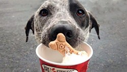 Ice Cream Social for National Black Dog Day - Uploaded by Donna A. Peters