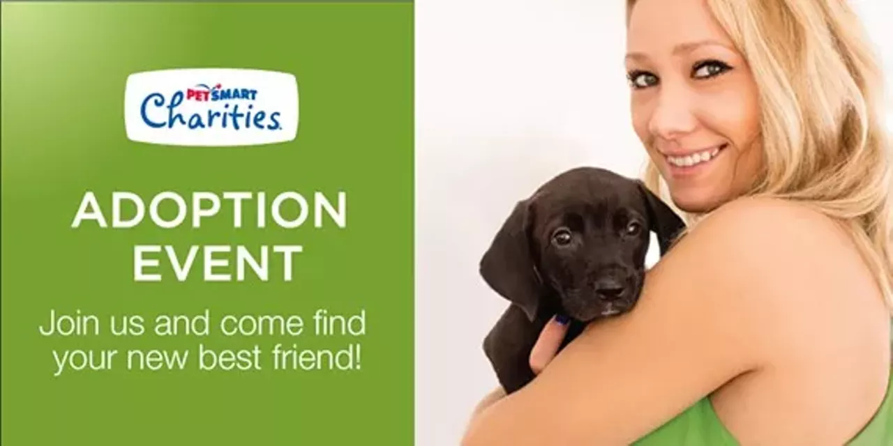 Petsmart Adoption Event Petsmart Benefits Fundraisers Festivals 