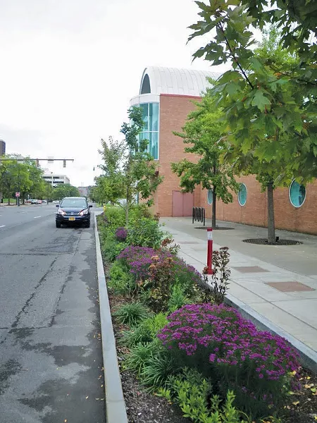 A bioswale in Syracuse - ETHAN DROPKIN