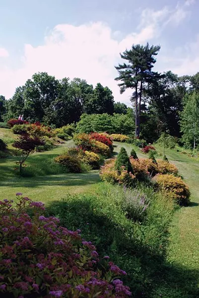Annuals and perennials mixing it up.