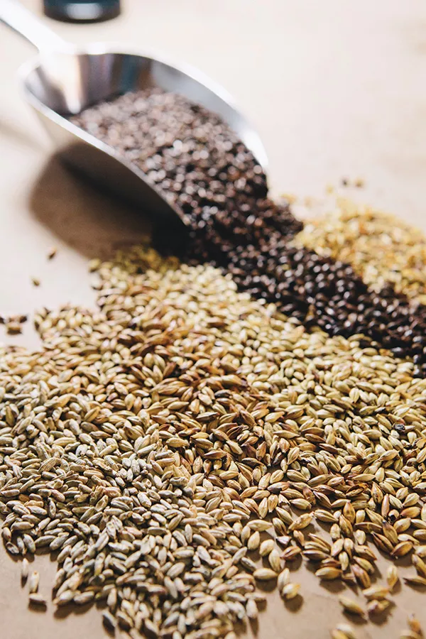 Assorted barley from Beacon Home Brew. - THOMAS SMITH