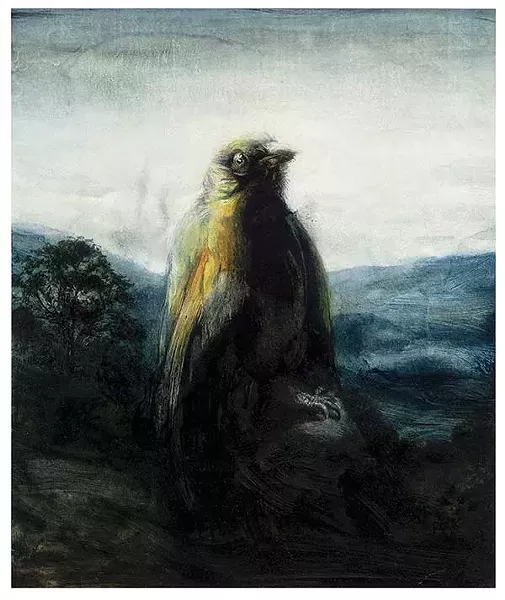 Astonished Looking Bird in the Landscape by Frank Hutter