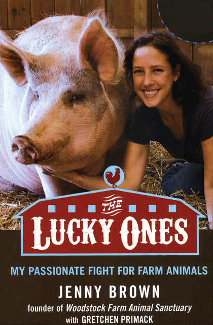 the lucky ones book liz lawson the lucky ones book liz lawson