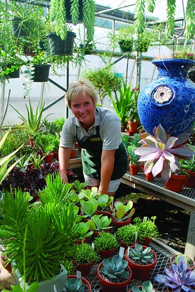 Cheryl Hearty among the succulents that are hot now. - LARRY DECKER