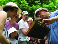 Chris Harp of HoneybeeLives teaches a variety of classes on beekeeping.
