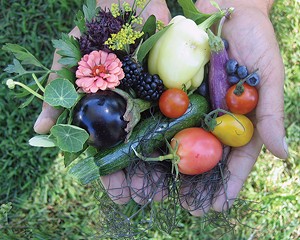 Fresh-picked fruits, vegetables, and flowers from Kelder's Farm in Kerhonkson.