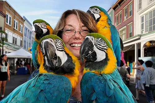 Gloria Waslyn with her parrots at the Chronogram Block Party on August 17. Gloria Waslyn with her parrots at the Chronogram Block Party on August 17.