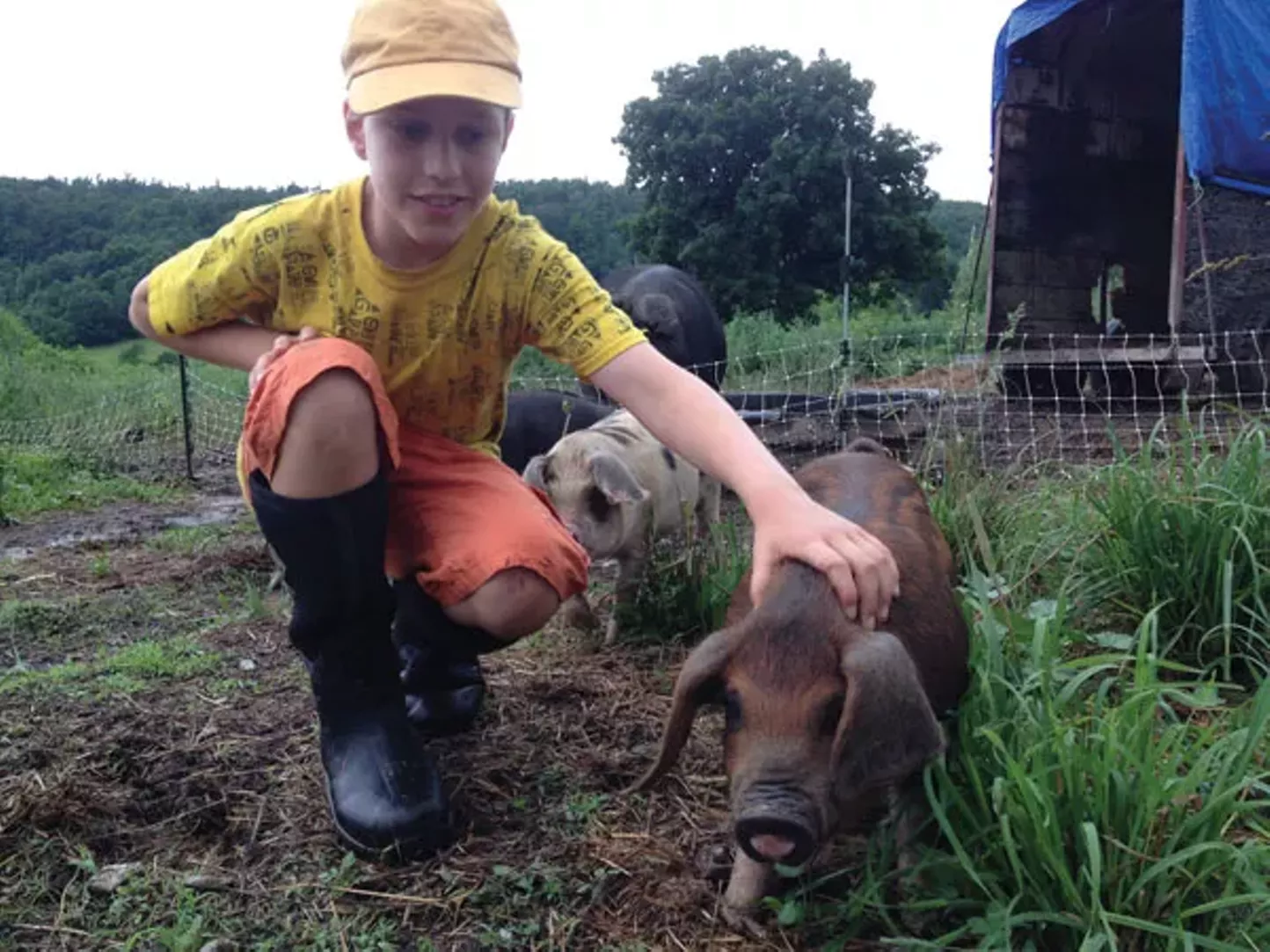 Hawthorne Valley Summer Camp Ghent Summer Camps Education Directory