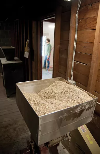 Hudson Valley rye grain awaits milling. - ROY GUMPEL