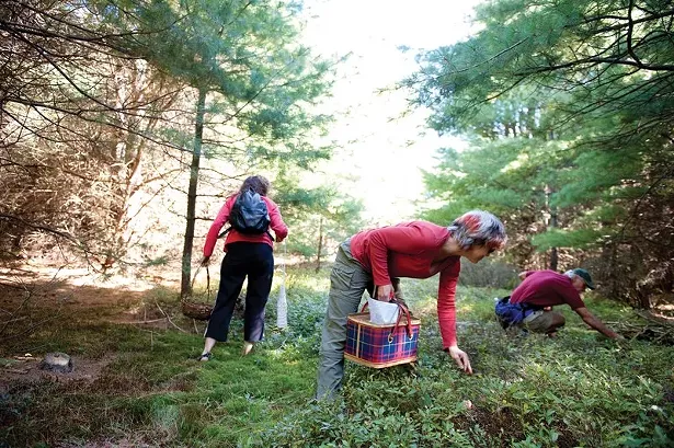 Maria Reidelbach (center), member of the Mid-hudson Mycological Association, and president of the New york city Mycological Society, with other mushroom foragers on an MMHA outing in late September. - JENNIFER MAY