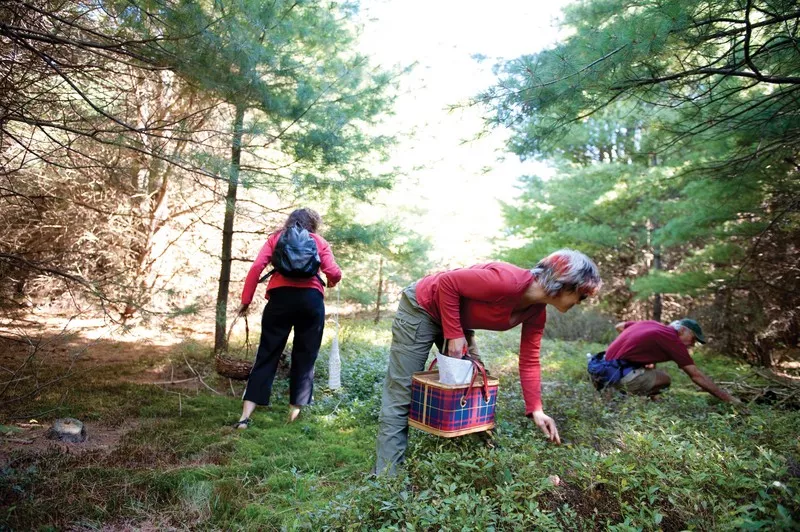 Maria Reidelbach (center), member of the Mid-hudson Mycological Association, and president of the New york city Mycological Society, with other mushroom foragers on an MMHA outing in late September. - JENNIFER MAY